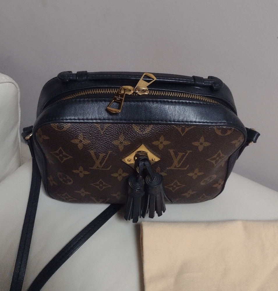 Beautiful and Rare Louis Vuitton Saintonge Noir Camera bag✨ - Picture 15 of 16